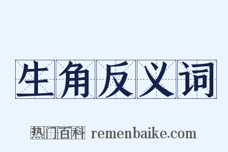 生角反义词是什么意思的图片